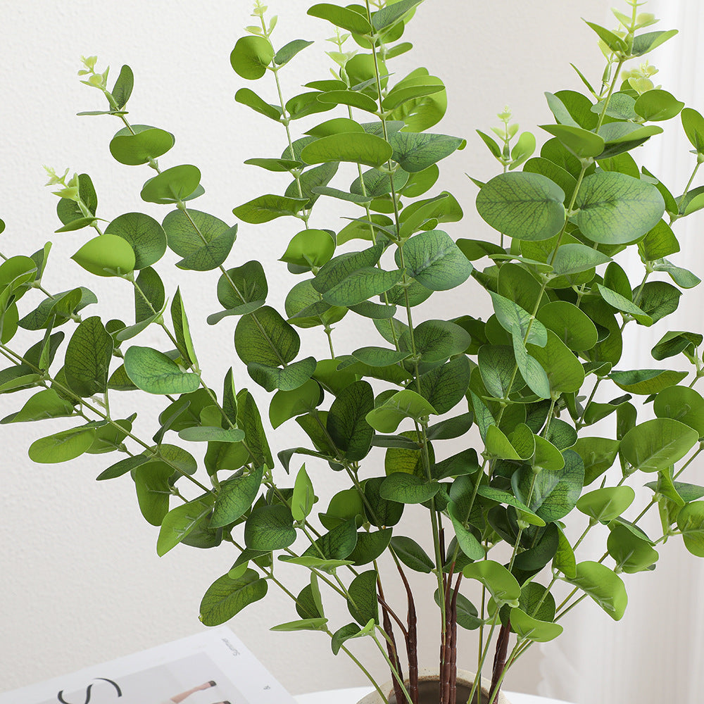 Decorative Plants Dark Green | Kelmera