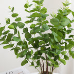 Decorative Plants Dark Green | Kelmera