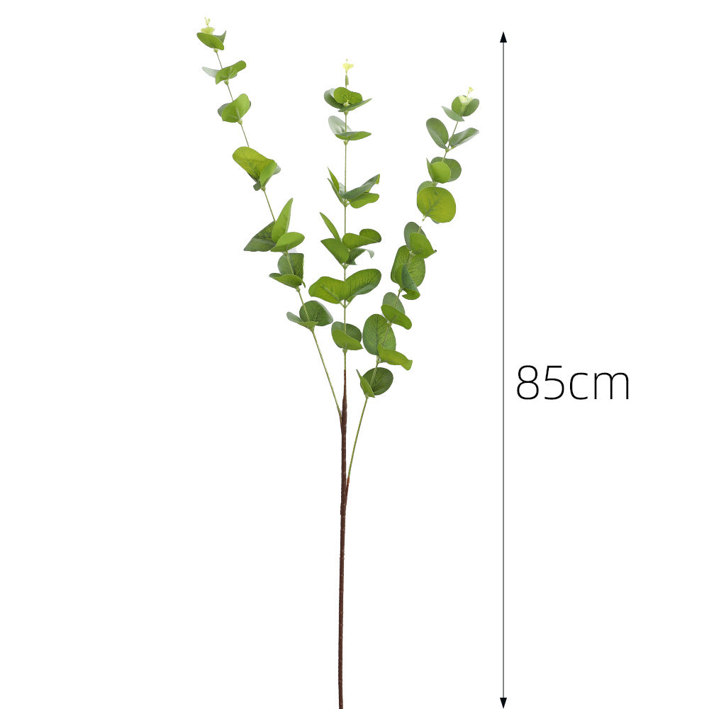Decorative Plants Dark Green | Kelmera