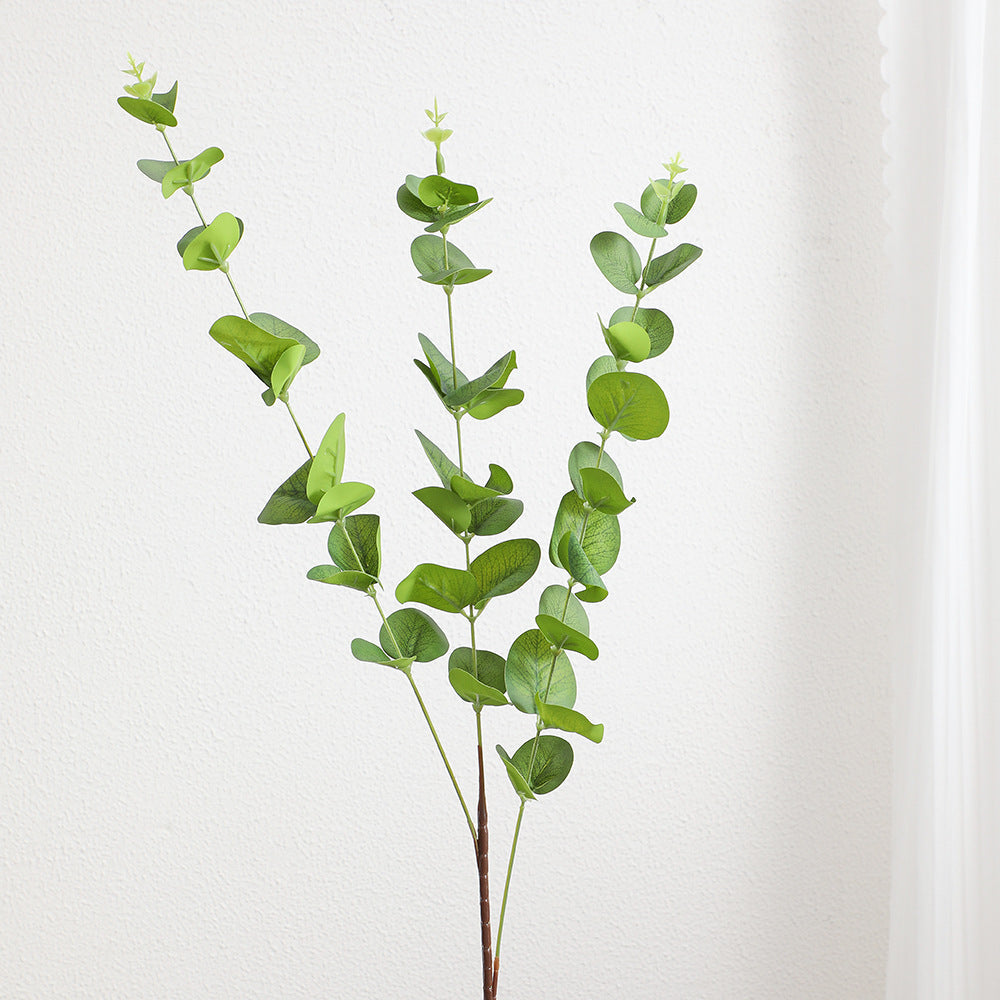 Decorative Plants Dark Green | Kelmera