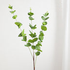 Decorative Plants Dark Green | Kelmera