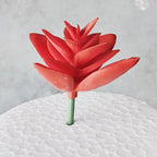 Decorative Succulent Stones | Kelmera