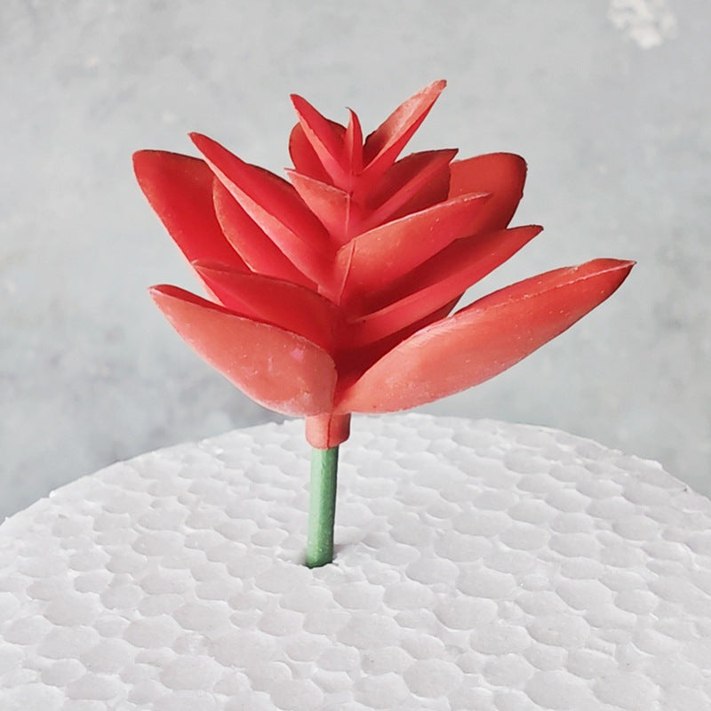 Decorative Succulent Stones | Kelmera