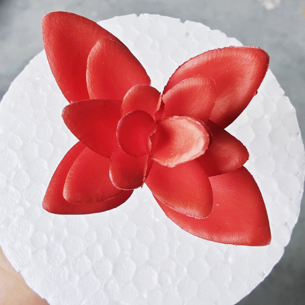 Decorative Succulent Stones | Kelmera