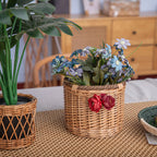 Decorative Wicker Planter | Kelmera