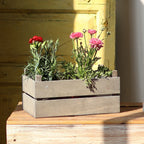 Decorative Wooden Container | Kelmera