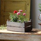 Decorative Wooden Container | Kelmera