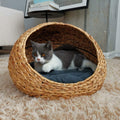 Designer Cat Bed | Kelmera