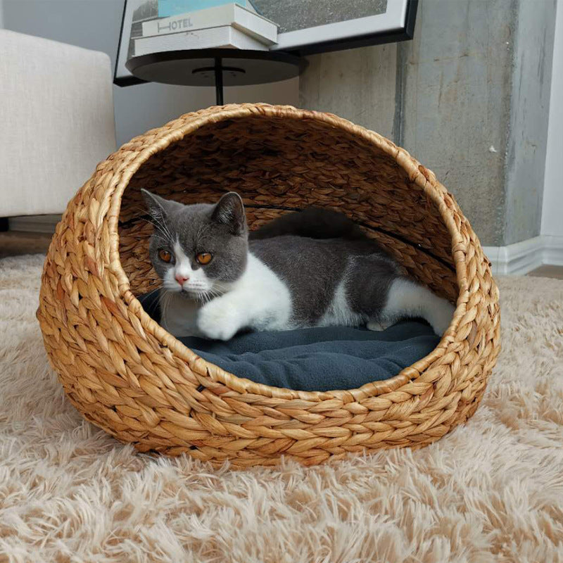 Designer Cat Bed | Kelmera