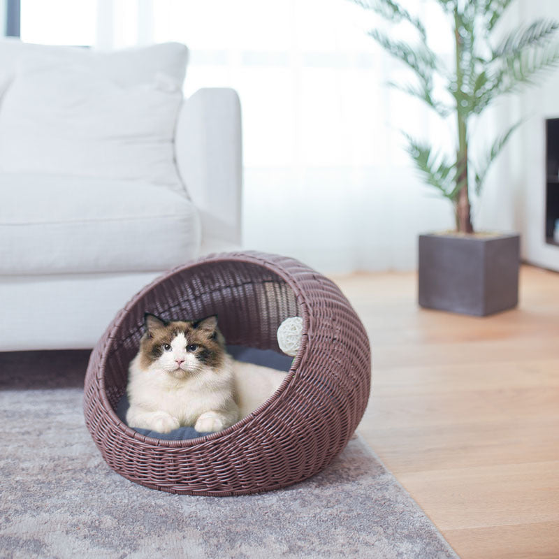 Designer Cat Bed | Kelmera