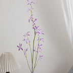 Elegant Artificial Orchid | Kelmera