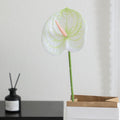 Elegant Artificial Orchid with Delicate Flowers | Kelmera