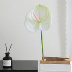 Elegant Artificial Orchid with Delicate Flowers | Kelmera