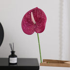 Elegant Artificial Orchid with Delicate Flowers | Kelmera