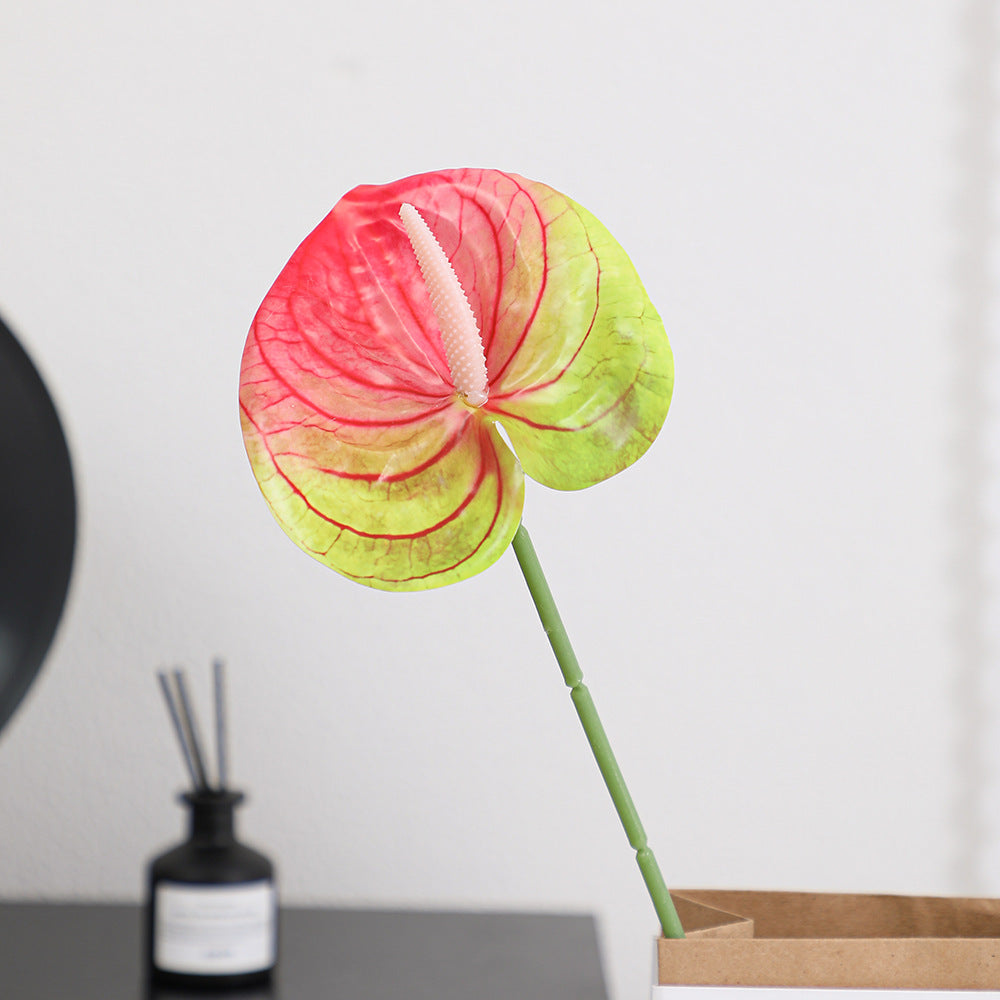 Elegant Artificial Orchid with Delicate Flowers | Kelmera
