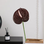 Elegant Artificial Orchid with Delicate Flowers | Kelmera