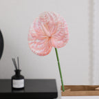 Elegant Artificial Orchid with Delicate Flowers | Kelmera