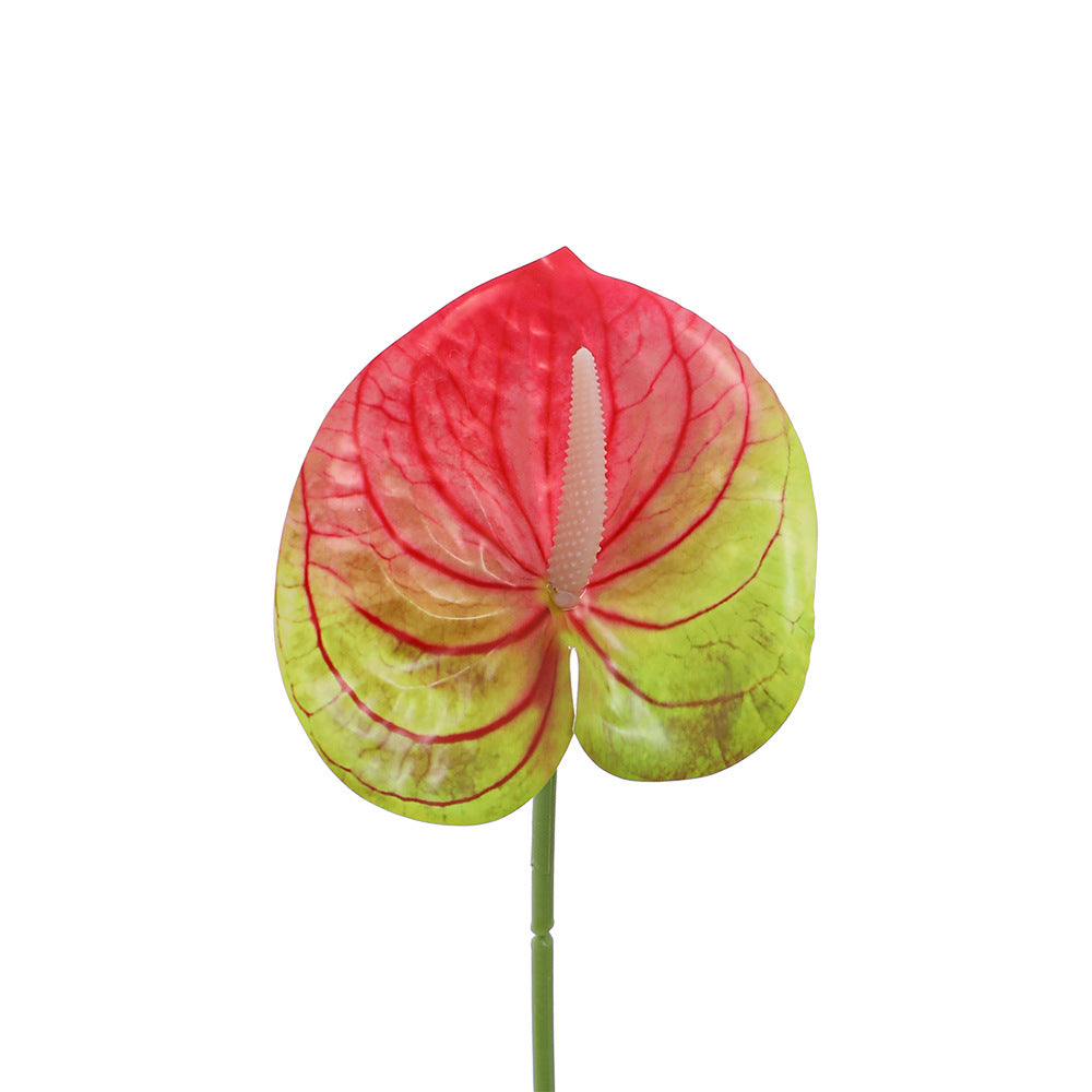 Elegant Artificial Orchid with Delicate Flowers | Kelmera