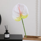 Elegant Artificial Orchid with Delicate Flowers | Kelmera