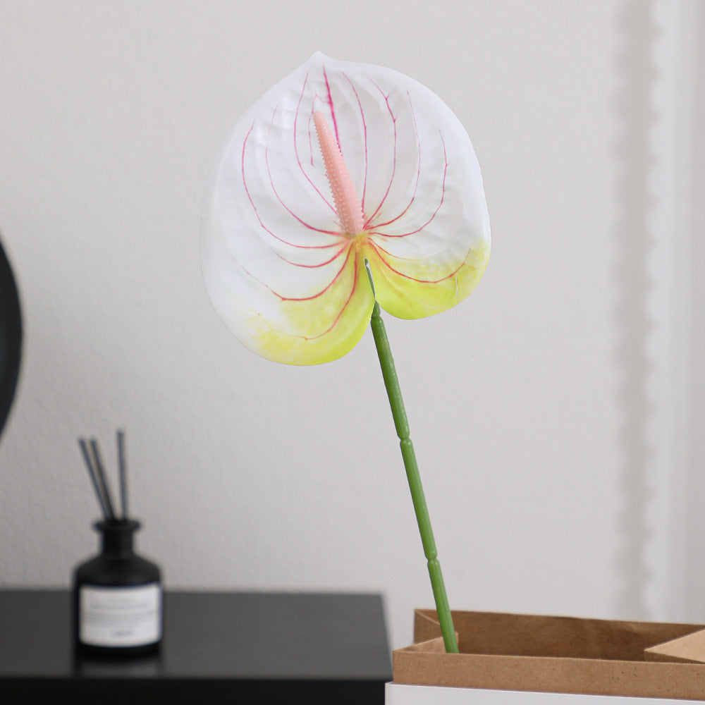 Elegant Artificial Orchid with Delicate Flowers | Kelmera