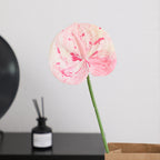 Elegant Artificial Orchid with Delicate Flowers | Kelmera