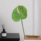 Elegant Artificial Orchid with Delicate Flowers | Kelmera