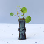 Elegant Ceramic Vase with Artistic Design | Kelmera