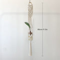 Elegant Macrame Plant Hanger | Kelmera