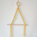 Elegant Macrame Plant Hanger Yellow Gray | Kelmera