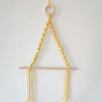 Elegant Macrame Plant Hanger Yellow Gray | Kelmera