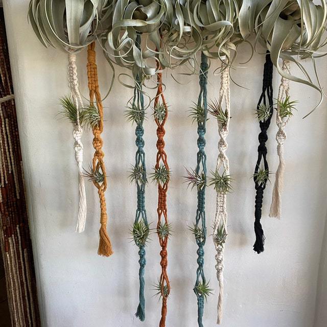Elegant Macrame Plant Wall Hanging | Kelmera