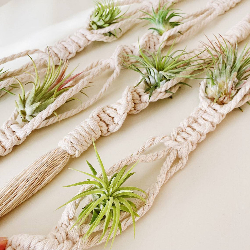 Elegant Macrame Plant Wall Hanging | Kelmera