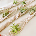 Elegant Macrame Plant Wall Hanging | Kelmera