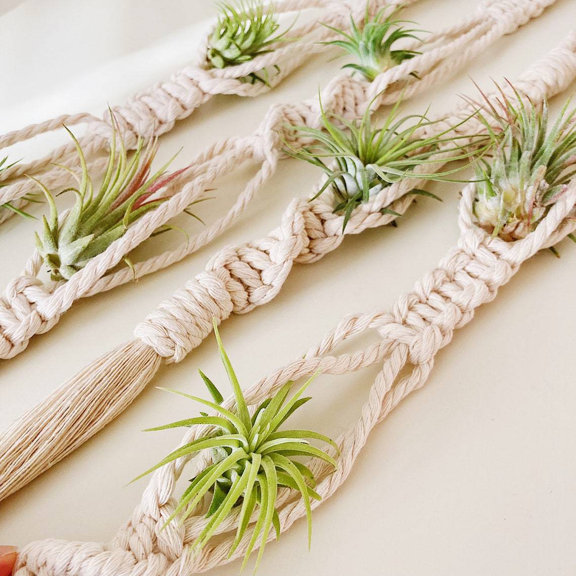 Elegant Macrame Plant Wall Hanging | Kelmera