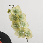Elegante Artificial Orchid Bouquet | Kelmera