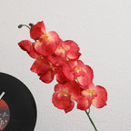 Elegante Artificial Orchid Bouquet | Kelmera
