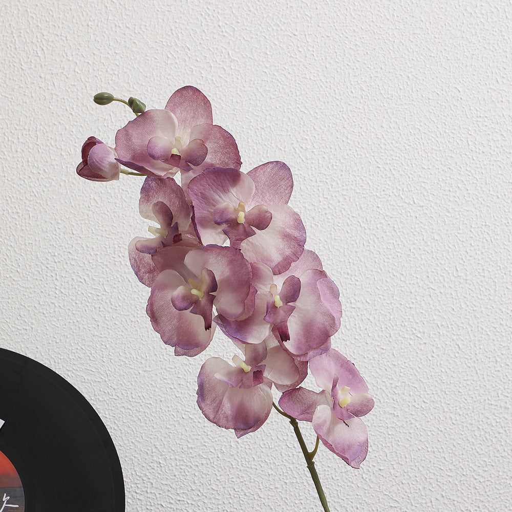 Elegante Artificial Orchid Bouquet | Kelmera
