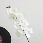 Elegante Artificial Orchid Bouquet | Kelmera
