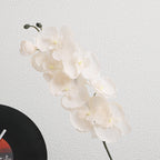 Elegante Artificial Orchid Bouquet | Kelmera