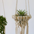 Exquisite Macrame Hanging Planter | Kelmera