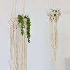 Exquisite Macrame Hanging Planter | Kelmera