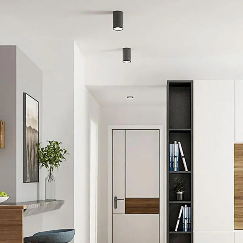 Fenfosa Surface Mounted Downlight