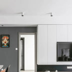 Fenfosa Surface Mounted Downlight