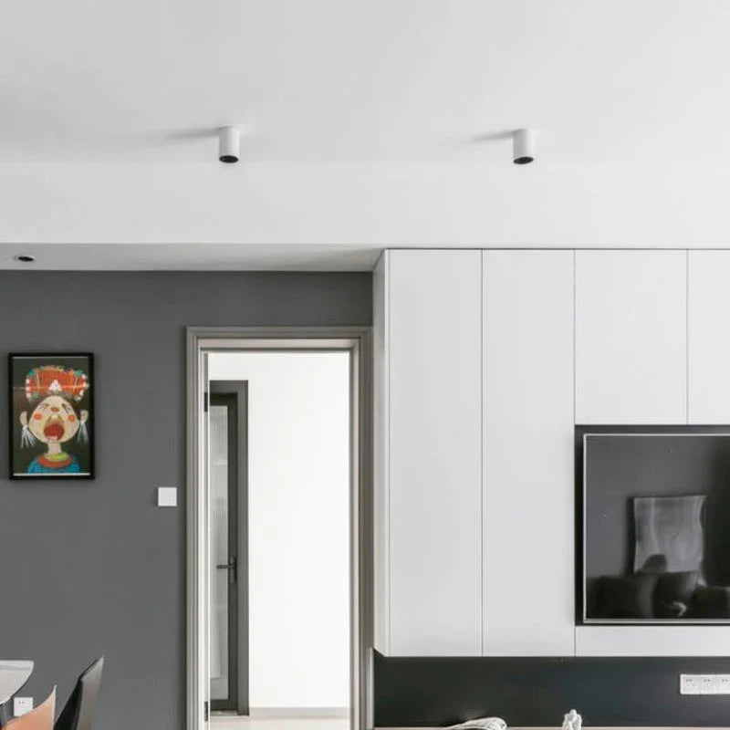 Fenfosa Surface Mounted Downlight