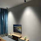 Fenfosa Surface Mounted Downlight