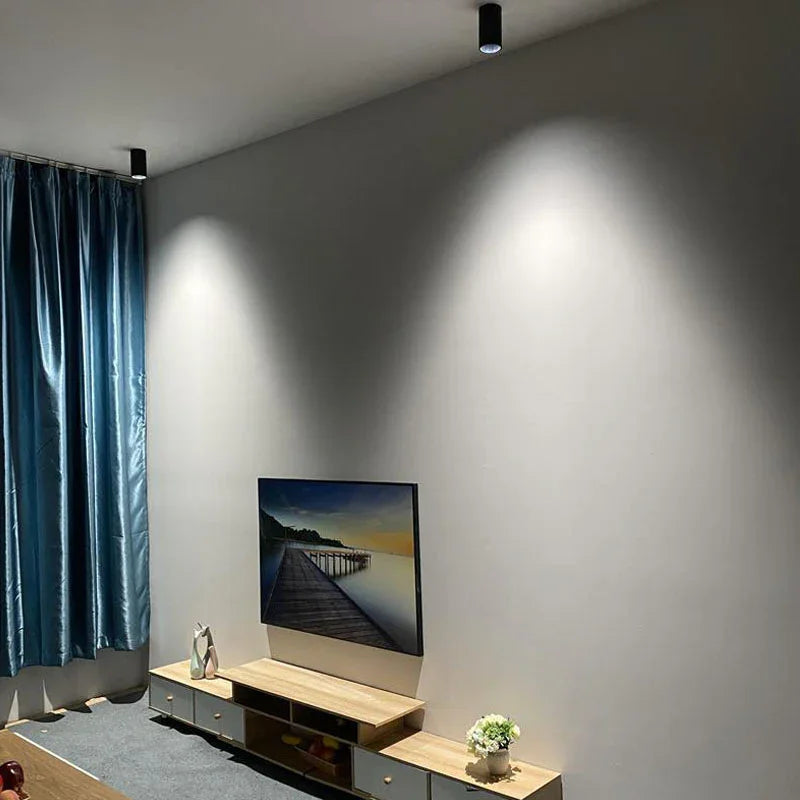 Fenfosa Surface Mounted Downlight