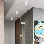 Fenfosa Surface Mounted Downlight
