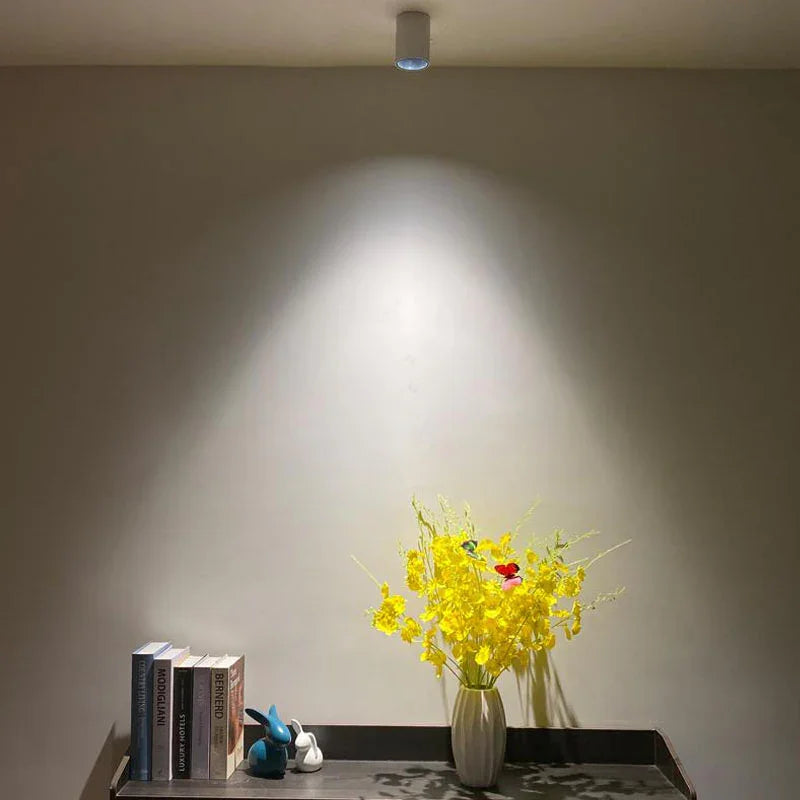 Fenfosa Surface Mounted Downlight