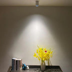 Fenfosa Surface Mounted Downlight