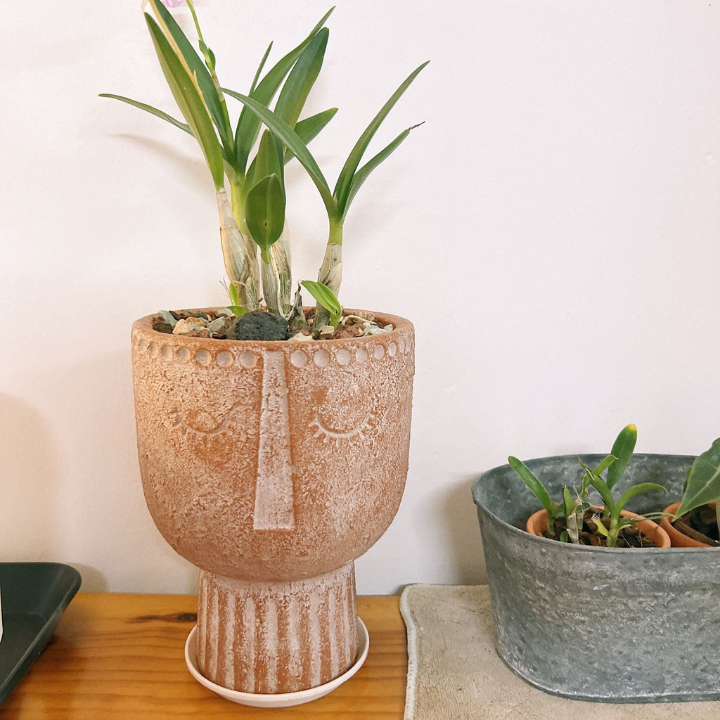 Flower Pot Ceramic | Kelmera